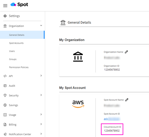 Spot console showing Cloud Account ID